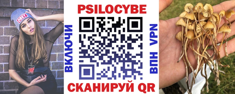 Купить где Каневская Галлюциногенные грибы прущие грибы